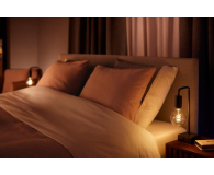 Philips Hue White ambiance Smart Żarówka Filament G93 E27 8719514301481 - 678461 - zdjęcie 4